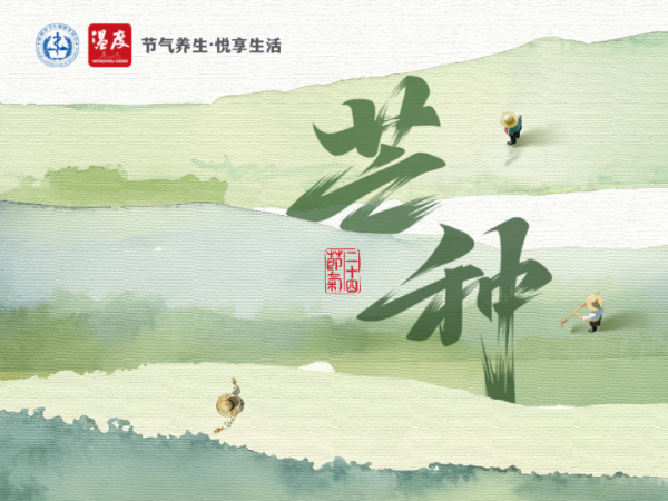 芒种高考特辑丨高考三餐这么吃,稳状态,清头脑!