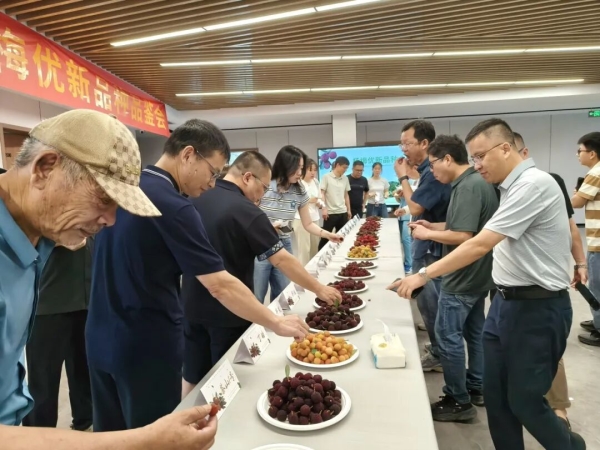 瓯海顶流水果上新,20个品种挑花眼