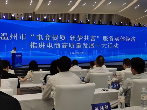 AI赋能“丝路电商”跨境拓市!温州发布推进电商高质量发展十大行动