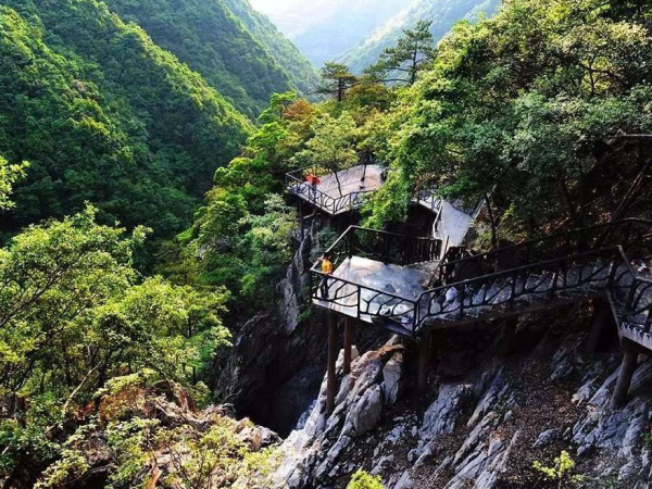 省级新名片!永嘉四海山森林康养基地上榜