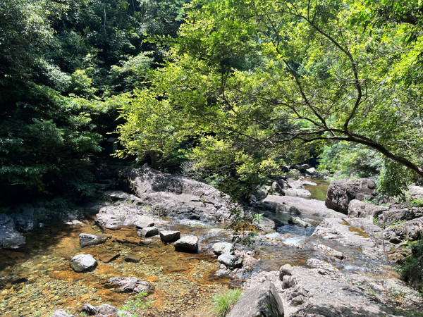 花岩国家森林公园 绿荫庇护的夏日清凉秘境