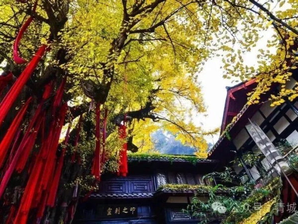 烫火锅飙川普!跟着《八仙!》打卡四川的隐藏“仙缘”
