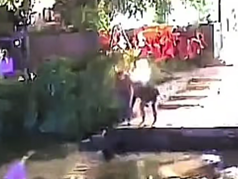 救起落水老人后,他悄悄离开!结果老人的亲属四处寻找还送来了锦旗