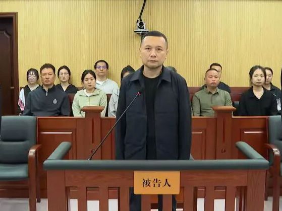 北大原副校长任羽中,有期徒刑八年!