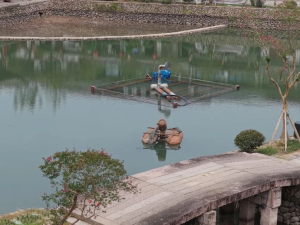 蓄水成景!清淤、引水、种水草……丽水古街颜值升级
